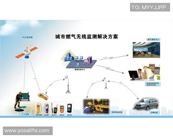 DOTA2焦点LNG技术探讨与未来发展趋势分析